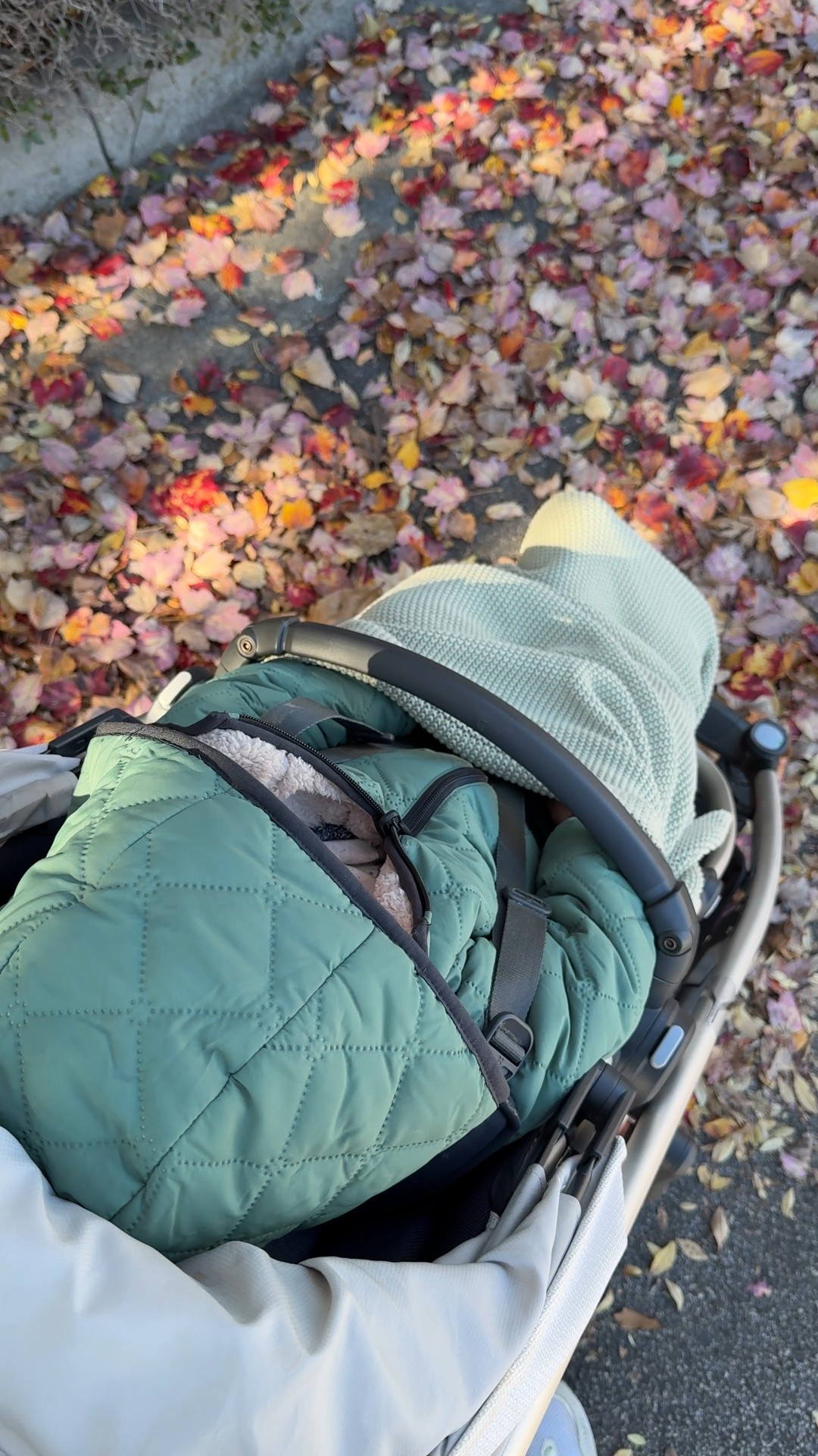 Toddler winter prep favorites ❄️ His coat is reversible and very cozy! Linked our favorite barefoot dreams blanket for winter walks + gloves, hat, pajamas, a suit, and a few more items to keep him cozy as it gets cold.

#LTKSeasonal #LTKmomlife #LTKHoliday
