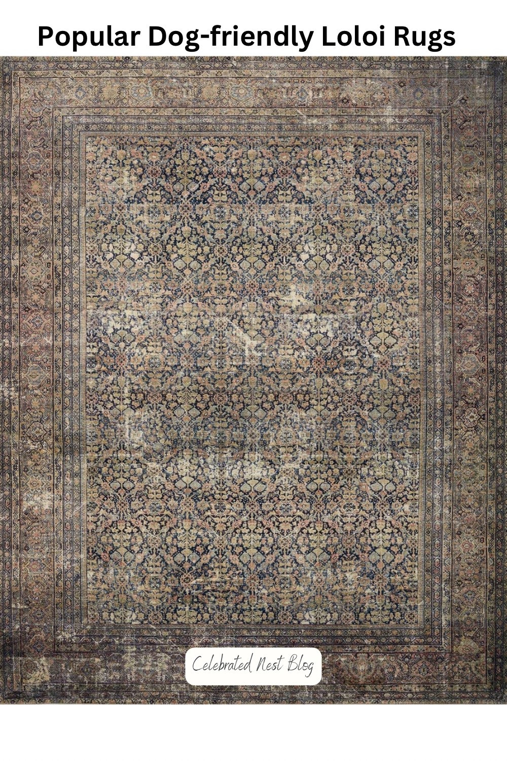 Dog-friendly CloudPile/Low pile Loloi Rugs. #arearugs #dogfriendly #dogfriendlydecor #loloirugs 

#LTKHome #LTKStyleTip #LTKFamily