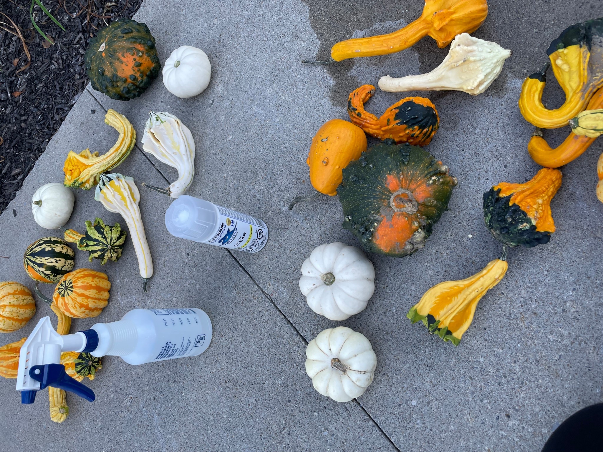 Clear coat to protect your pumpkins and gourds from rotting! 

#LTKcanada #LTKfall #LTKhome