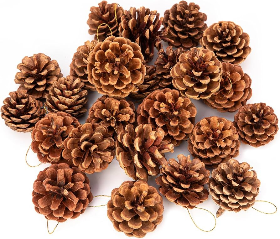 24 Pcs Big Size Natural Pine Cones with Strings, 5-9cm Rustic Pinecones Bulk Christmas Hanging Or... | Amazon (CA)