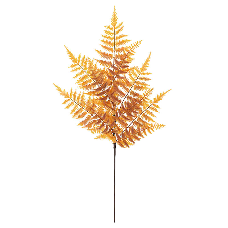Yellow Fern Stem, 30.5" | At Home