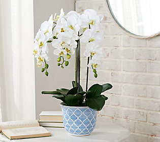 24 Faux Orchid Plant in Ceramic Potby Valerie | QVC