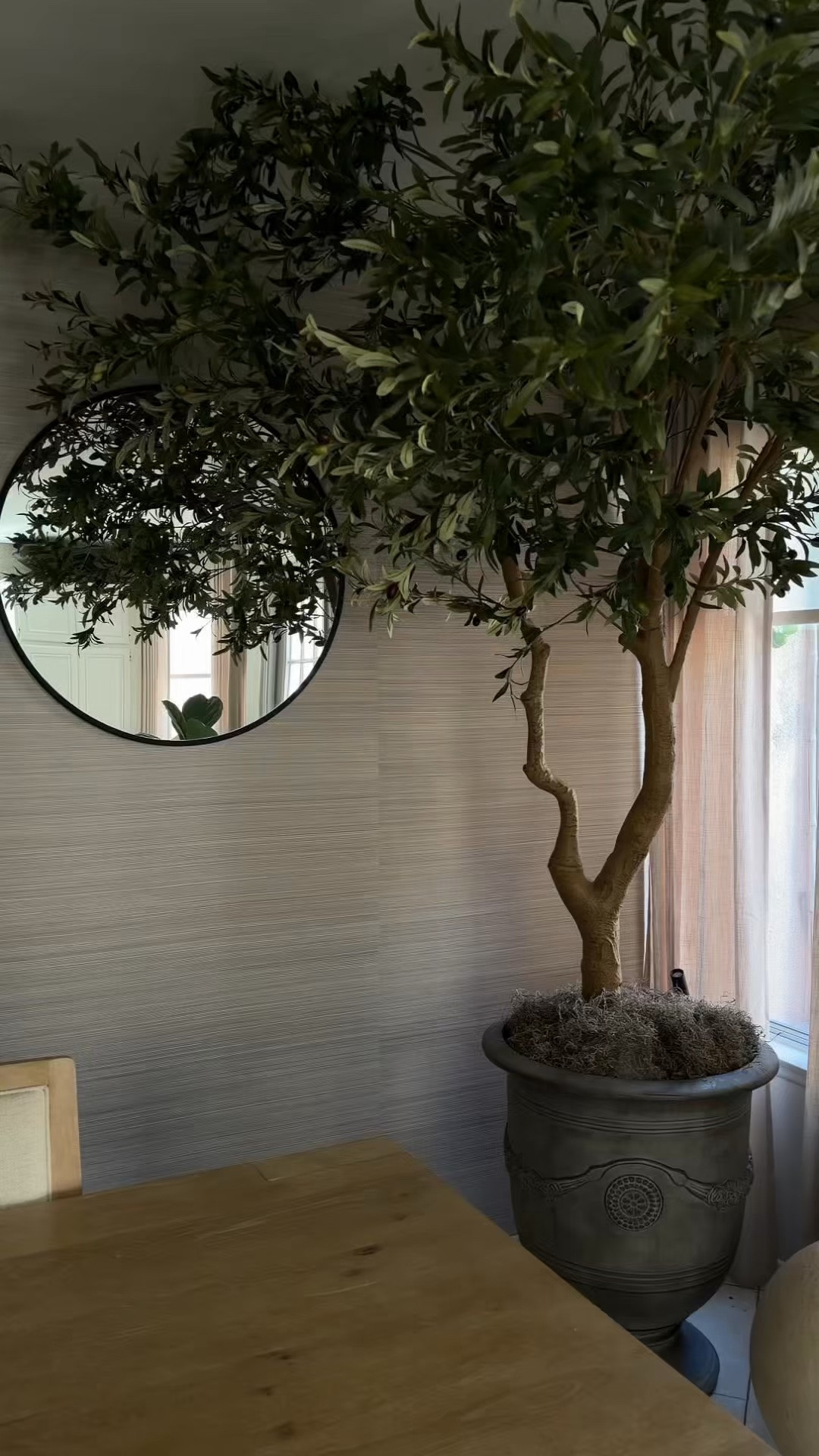 Finally found the perfect home for this little giant. 🌿 There’s something so calming about bringing a touch of the outdoors inside. It adds just the right amount of height and life to the corner—no watering required, just pure, quiet beauty. ☁️

#fauxplants #olive tree #homedecor #neutralstyle #livingroomdecor #plantlady #dreamyhome #interiordetails

#LTKHome