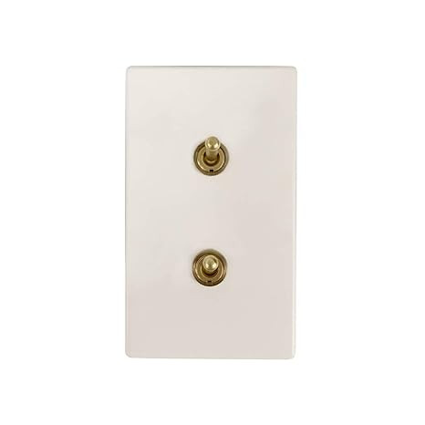Aruastudio Retro Interior Light Switch ON-Off Set, Switch Plate, Toggle Switch 15A, 250V, AC, 2Pi... | Amazon (US)
