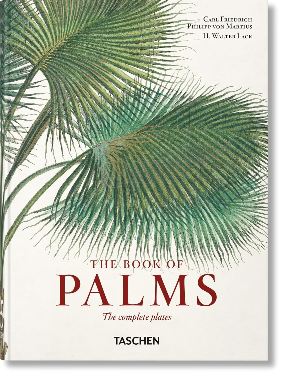 Martius. The Book of Palms. 40th Ed. | Amazon (US)