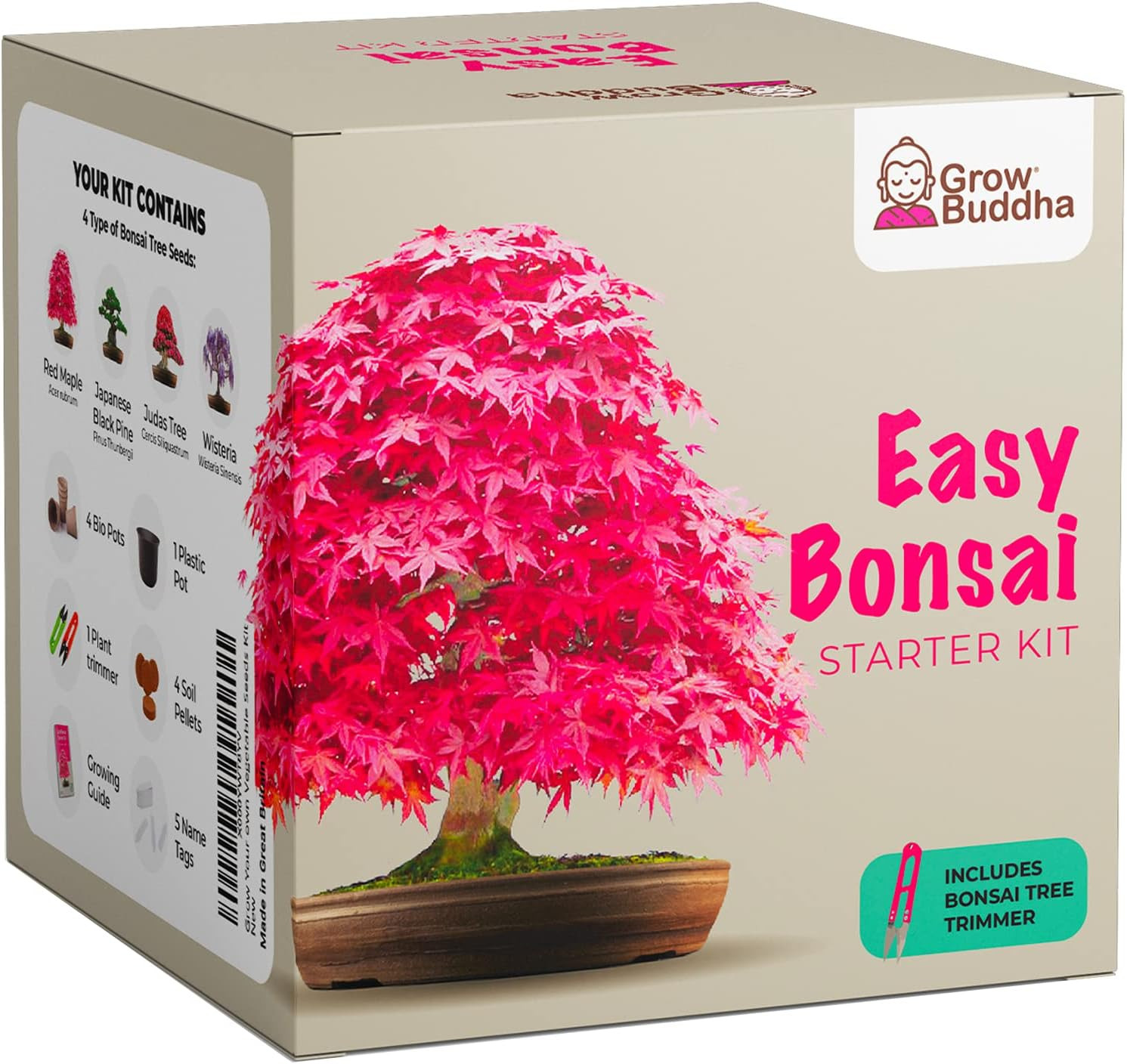 Grow Your Own Bonsai kit | Tree Plants & Seeds | Crafts Hobby Kits | Easily Grow 4 Types of Bonsa... | Amazon (US)