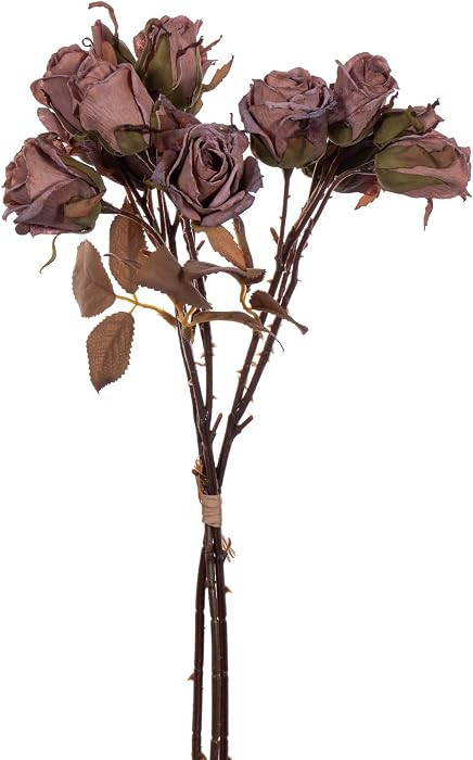 Vickerman 16.5" Light Mauve Artificial Dried Rose Bundle. | Amazon (US)