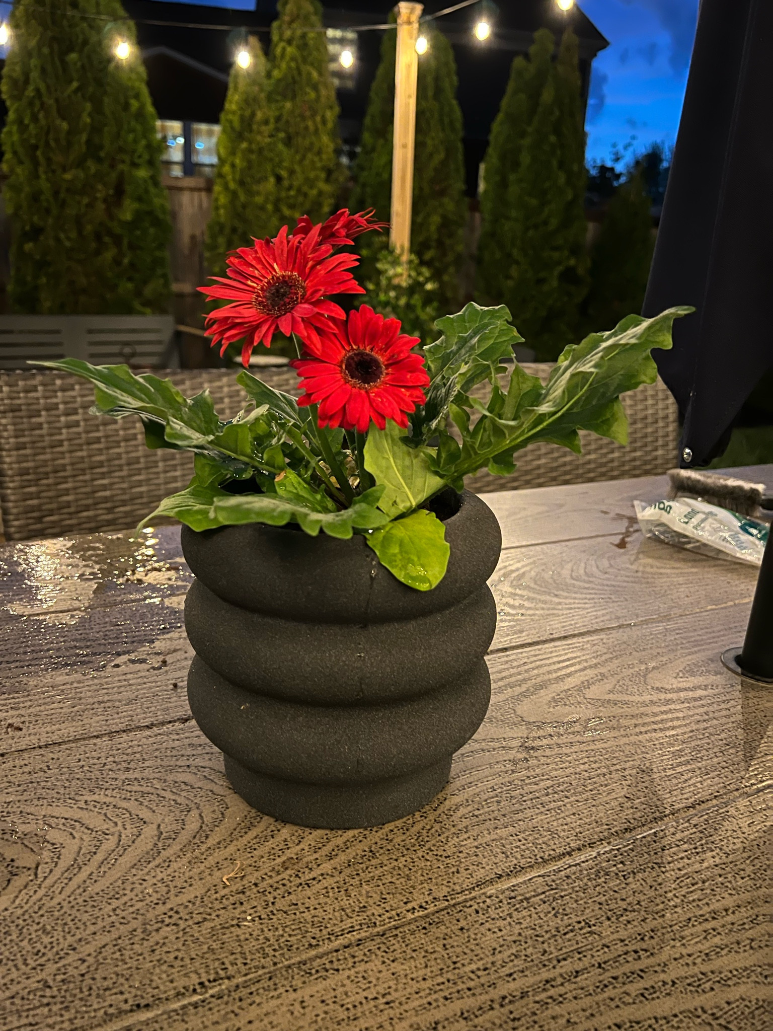 Another Walmart win - plant pots! 🌱

Gardening | Planters | pots | flowers | red daisy | Walmart | garden

#LTKhome #LTKSeasonal #LTKfamily