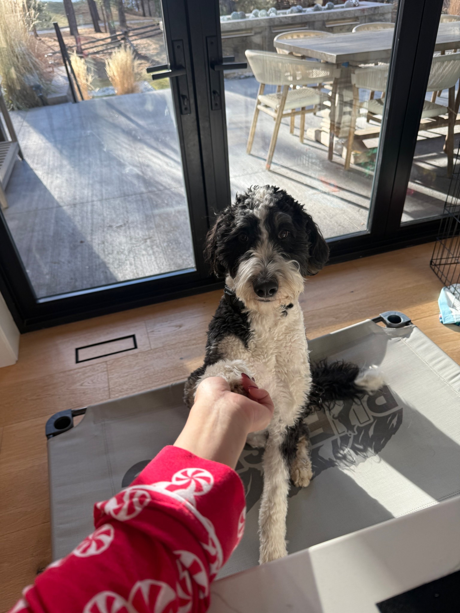 Mornings with Lulu. These exact pajamas are no longer available but I found some really good options!

#LTKdayinmylife #LTKmomlife #LTKHome