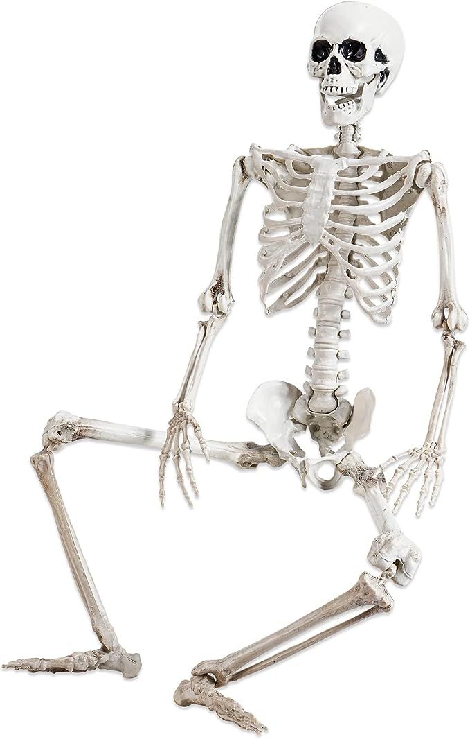 5.4 ft Posable Halloween Skeleton Decorations,Human Bones for Halloween Party with Movable Joints... | Amazon (US)
