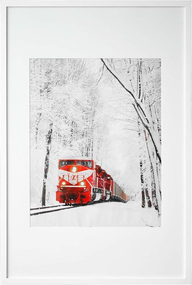 Egofine 24x36 Solid Wood Picture Frame White Covered by Plexiglass Matted for 18x24 for Wall Moun... | Amazon (US)