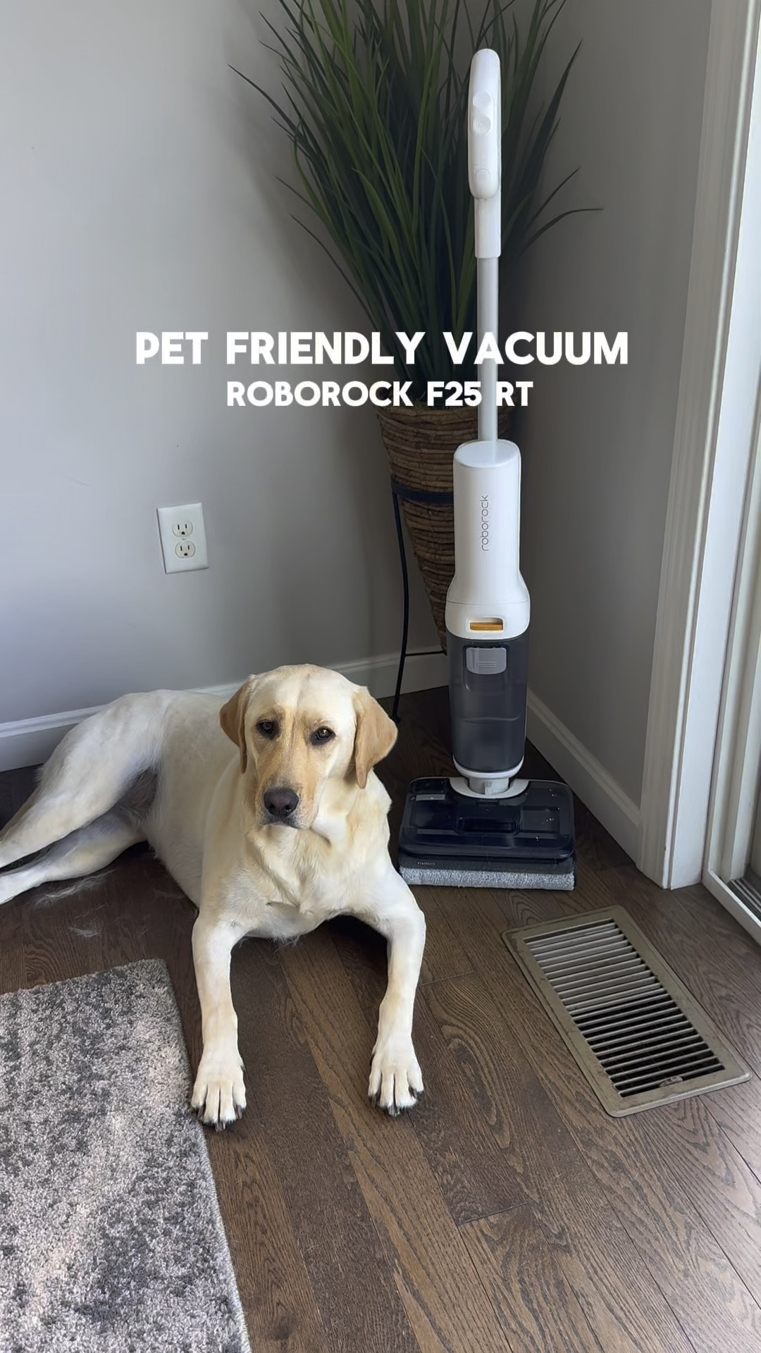 The dog hair is crazy😅 the vacuum does work very well with picking it all up and mopping at the same time! 

#LTKFamily #LTKSaleAlert #LTKHome