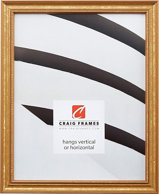 Craig Frames 314GD, Ornate Gold Picture Frame, 8.5 x 11 Inch | Amazon (US)