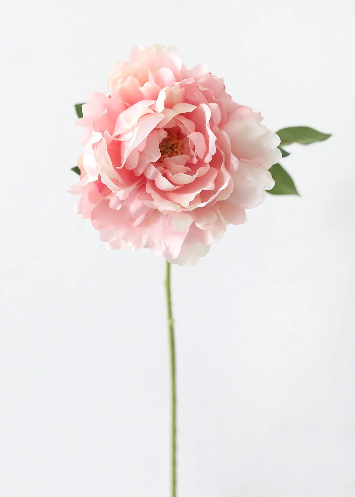 Silk Flower Peony in Pastel Pink - 23" Tall | Afloral (US)