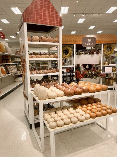 Price drop on fall items at Target 🍁 

#LTKSale #LTKhome #LTKSeasonal