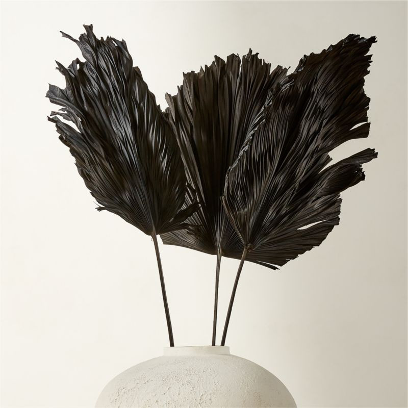 Black Dried Palm Leaves Set of 3 + Reviews | CB2 | CB2