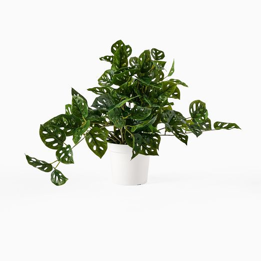 Faux Potted Trailing Monstera Plant | West Elm (US)