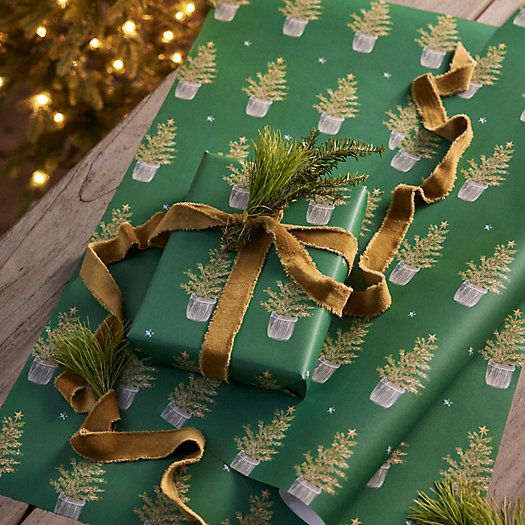 Festive Evergreens Wrapping Paper, Set of 3 | Terrain