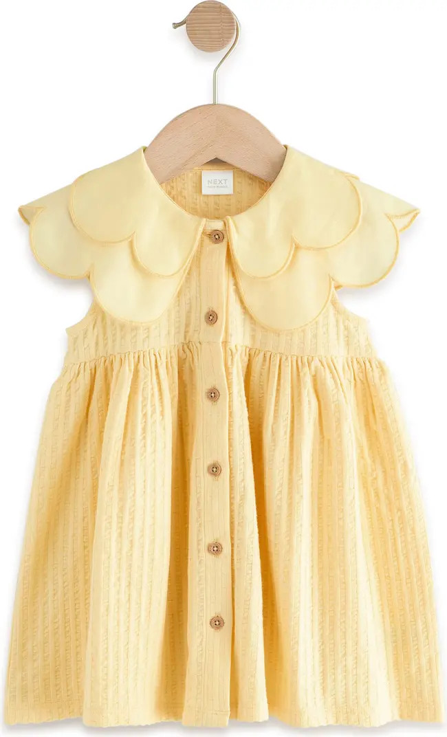 $22.00 – $23.00 | Nordstrom