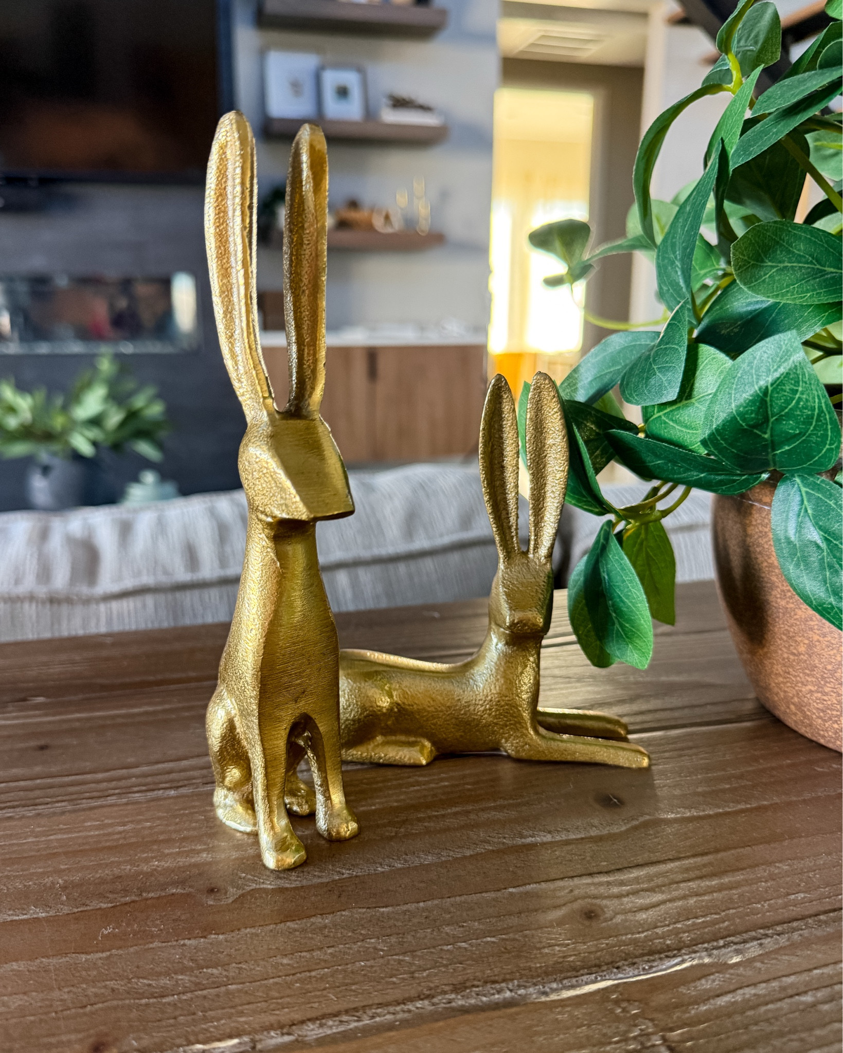 Gold target bunnies 

#LTKHome #LTKSeasonal