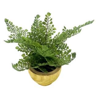 22" Green Maidenhair Arraignment in Wooden Container by Ashland® | Michaels Stores