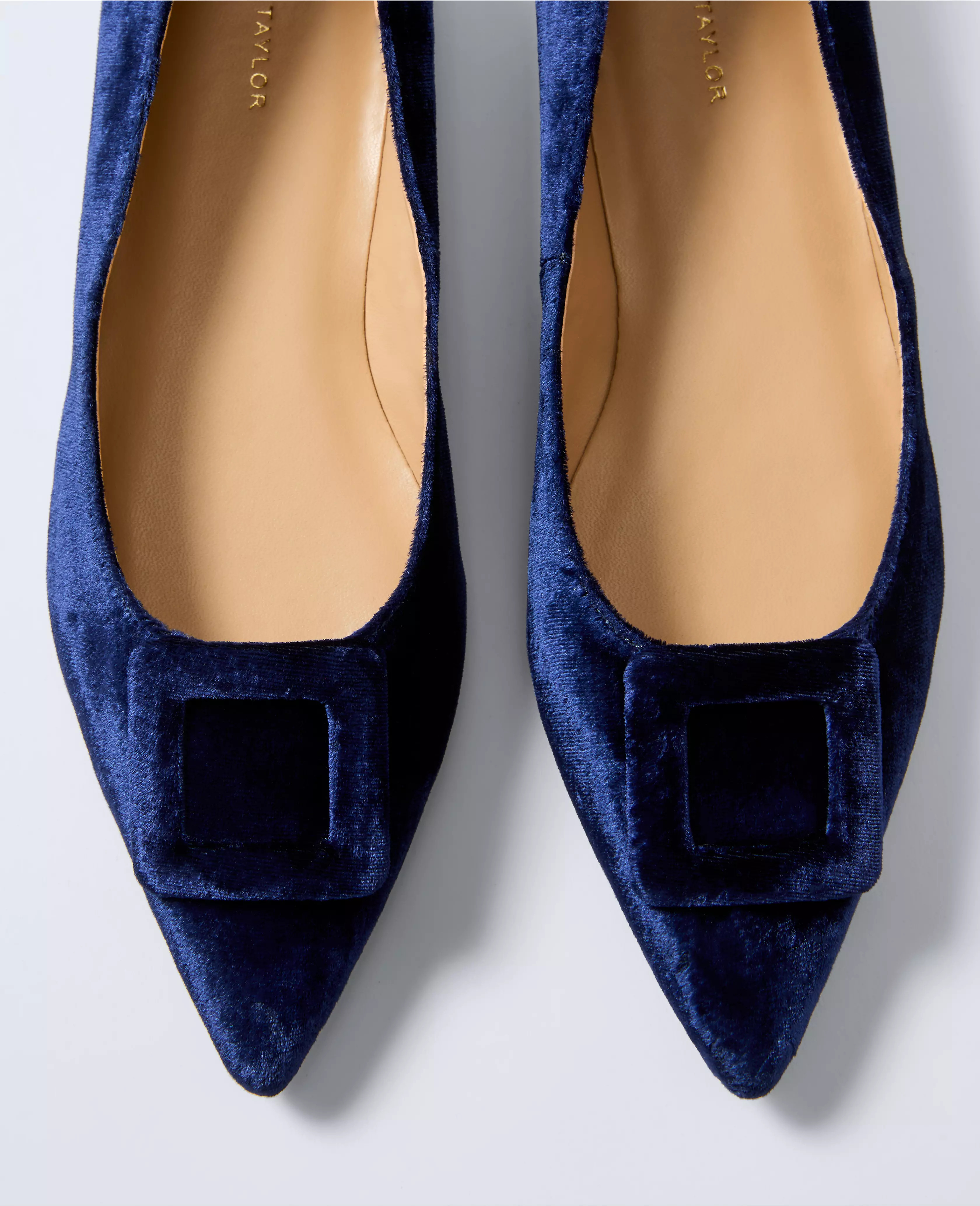 Velvet Pointy Toe Buckle Flat | Ann Taylor