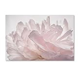 Pink Peony Petals V by Cora Niele, 22x32-Inch Canvas Wall Art | Amazon (US)