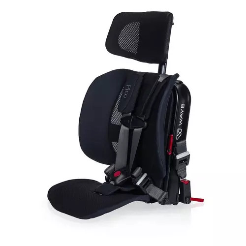 WAYB Pico Toddler Car Seat | Scheels Sports