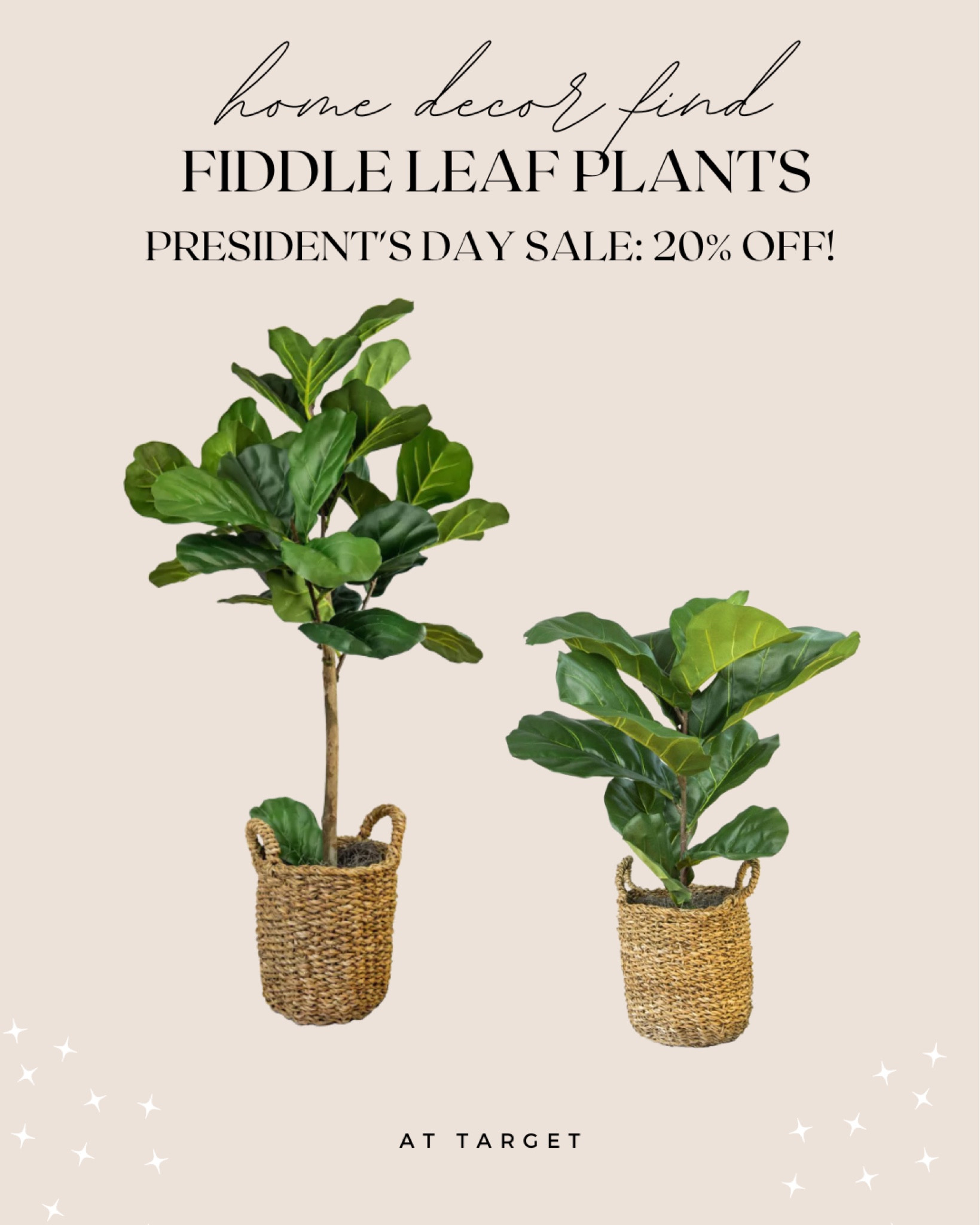 Fiddle leaf plants on sale at Target for President’s Day! Cute home decor idea for spring 🪴

#target #plant #spring #decor 

#LTKSale #LTKSeasonal #LTKhome