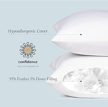 puredown® Feather Throw Pillow Inserts 22 x 22 (Pack of 2, White), Big Throw Pillows for Floor, ... | Amazon (US)