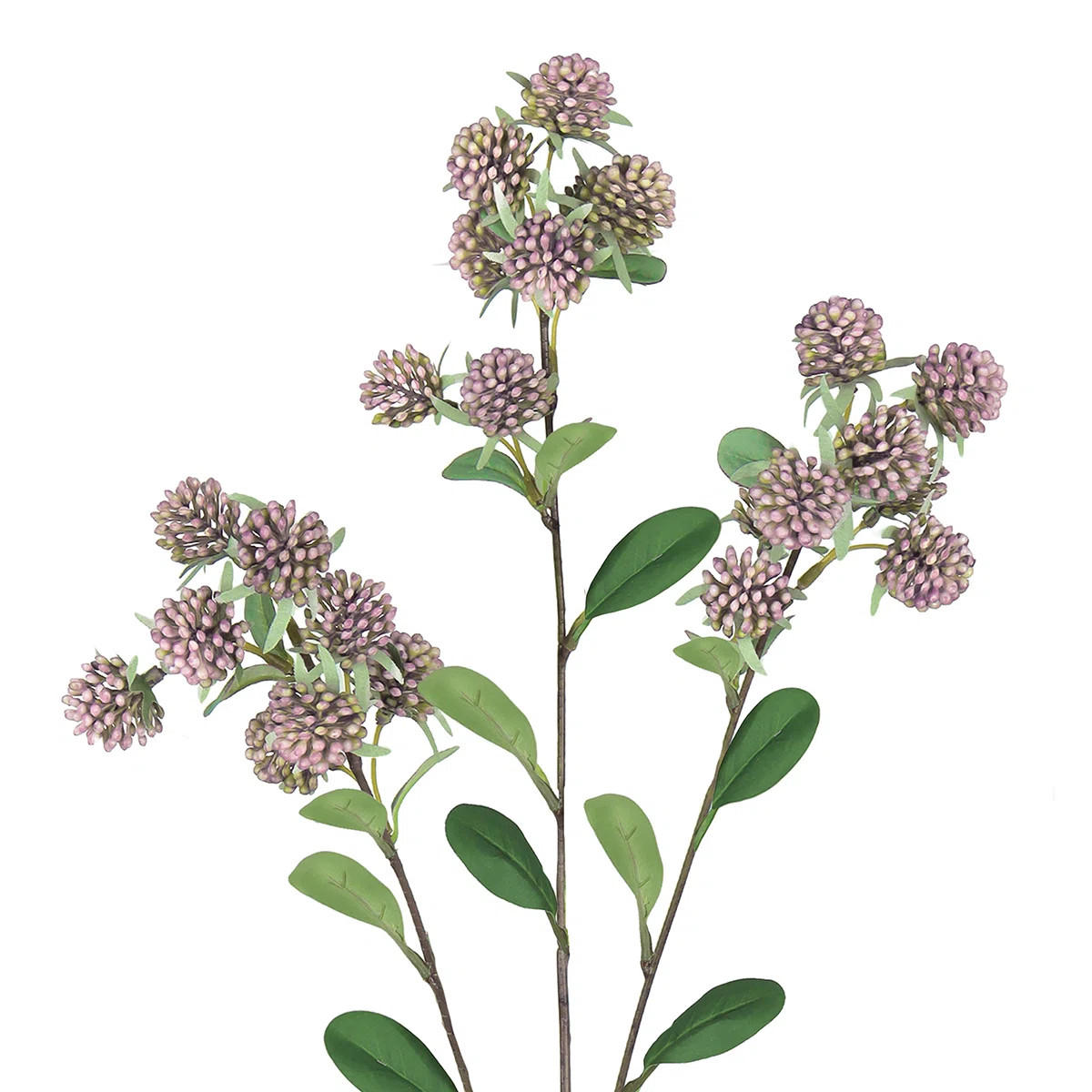 Berry Arrangement (Set of 4) | Wayfair North America