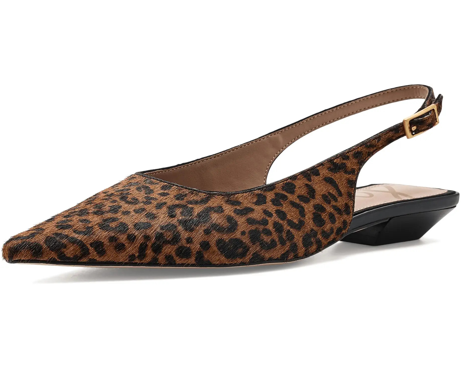 Women's Sam Edelman Netty | Zappos.com