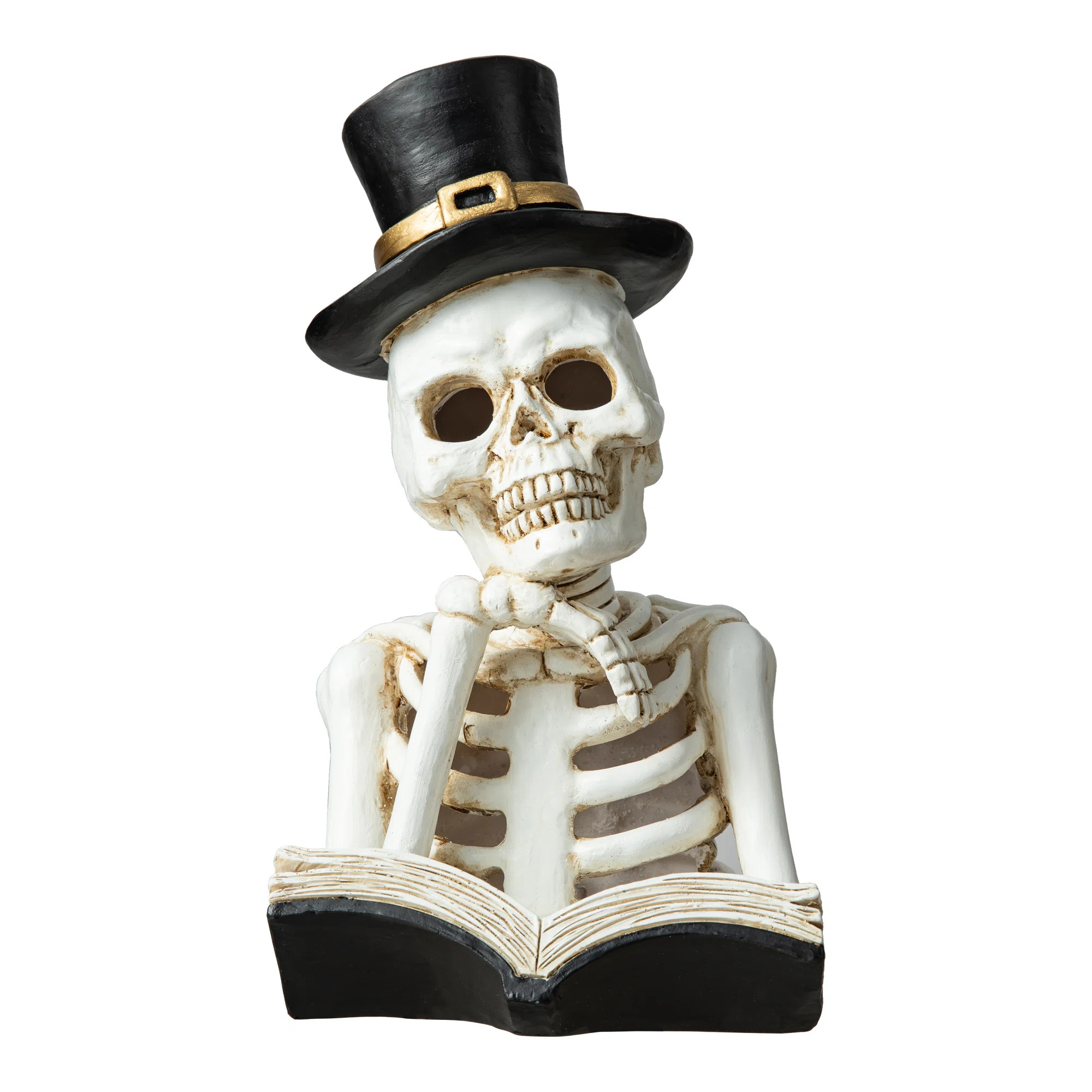 The Holiday Aisle® 10.25"H Halloween Lighted Resin Skull Reading Book Table Decor | Wayfair | Wayfair North America