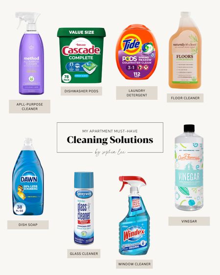 
To keep your living space spotless, start with these apartment cleaning essentials: a vacuum cleaner, mop, broom, dustpan, all-purpose cleaner, glass cleaner, disinfectant wipes, and microfiber cloths. Use an apartment cleaning checklist and apartment cleaning schedule to stay organized. Refer to an apartment cleaning supplies list to ensure you have everything you need. Discover apartment cleaning hacks for efficiency and follow an apartment cleaning list for thoroughness. These apartment cleaning supplies are crucial for maintaining a fresh and inviting home.