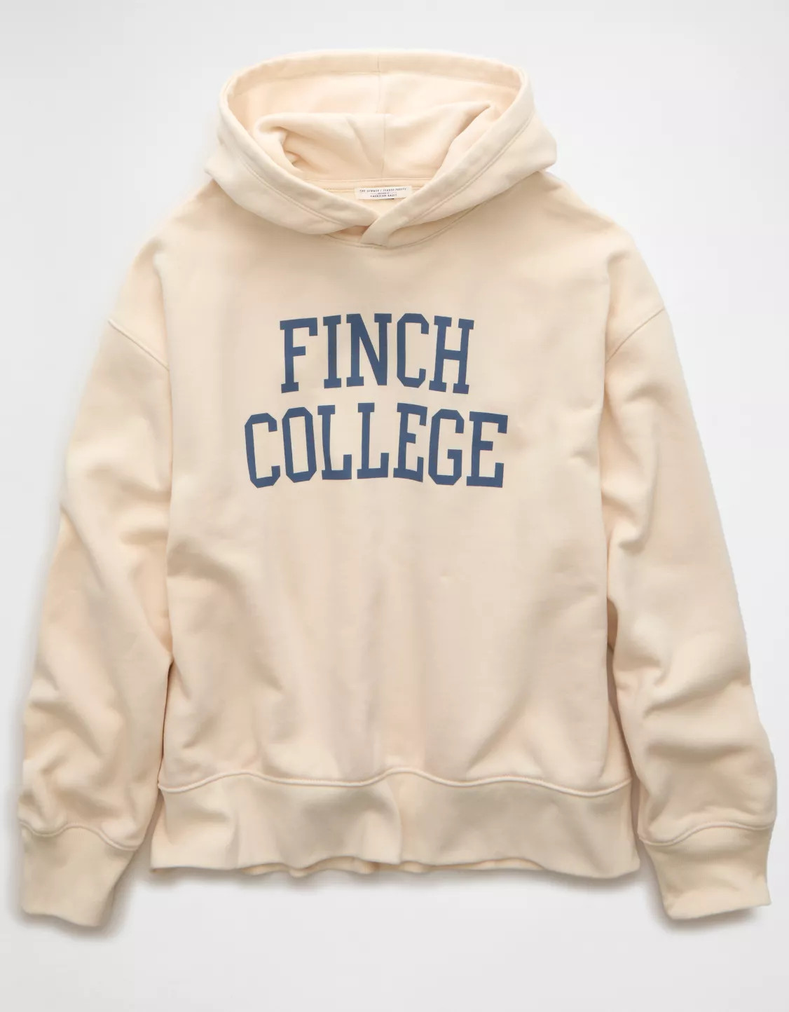 AE x The Summer I Turned Pretty Everyday Luxe Graphic Hoodie | American Eagle Outfitters (US & CA)