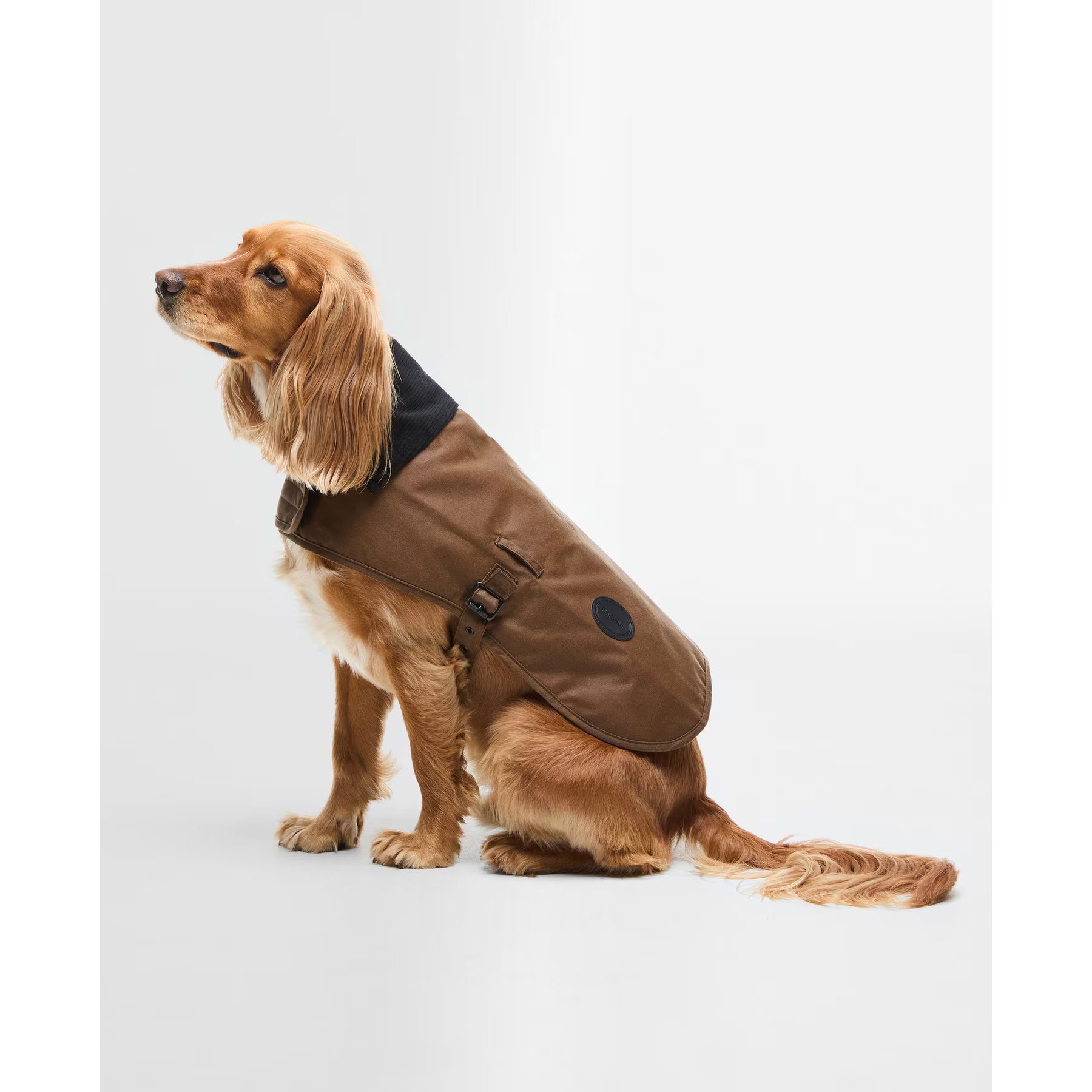 Barbour Wax Dog Coat, Tan, Medium | Chewy