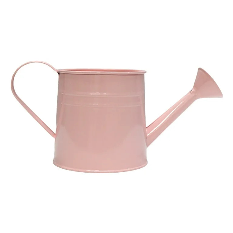 Vintage Iron Watering Can Planter Decorative Metal Flower Pots for Home Garden | Walmart (US)