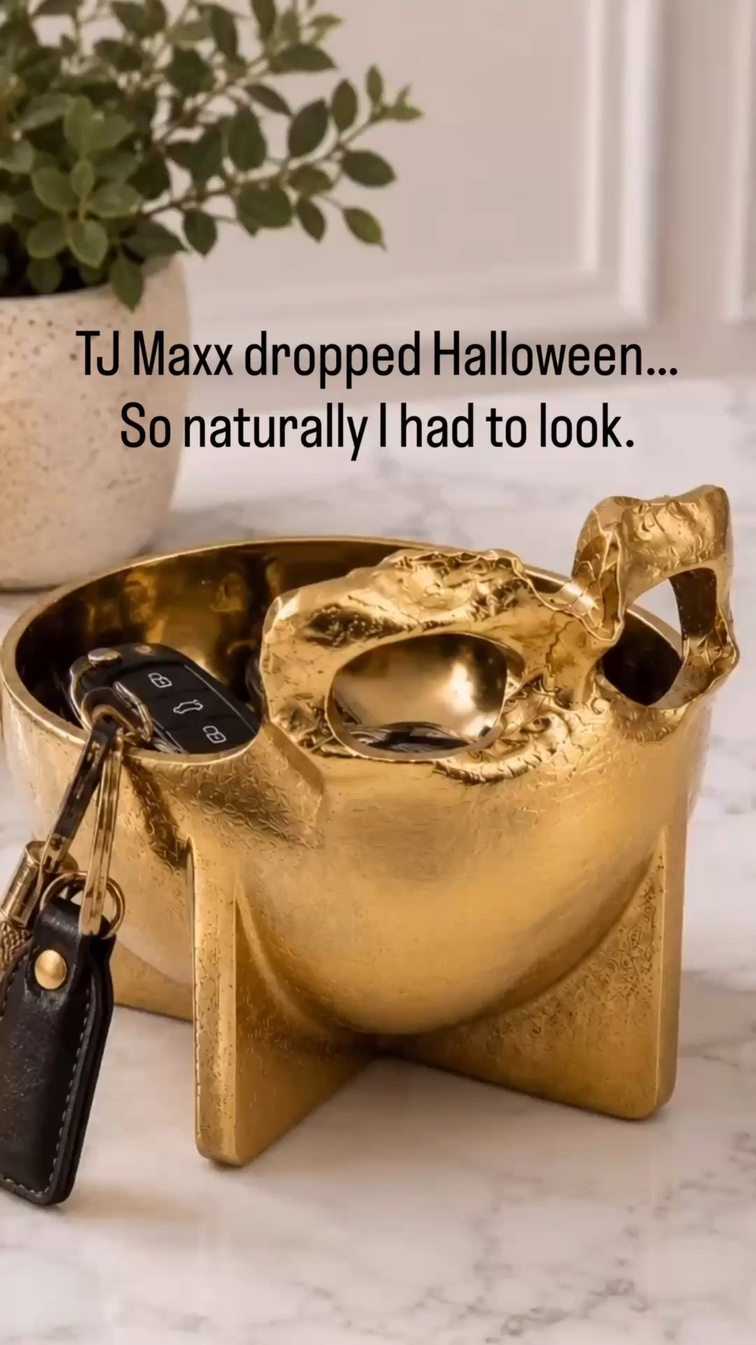 Of course, I walked into TJ Maxx for towels and walked out with Halloween decor… In July ￼

#tjmaxx #marshalls

#LTKdayinmylife #LTKSeasonal #LTKHome