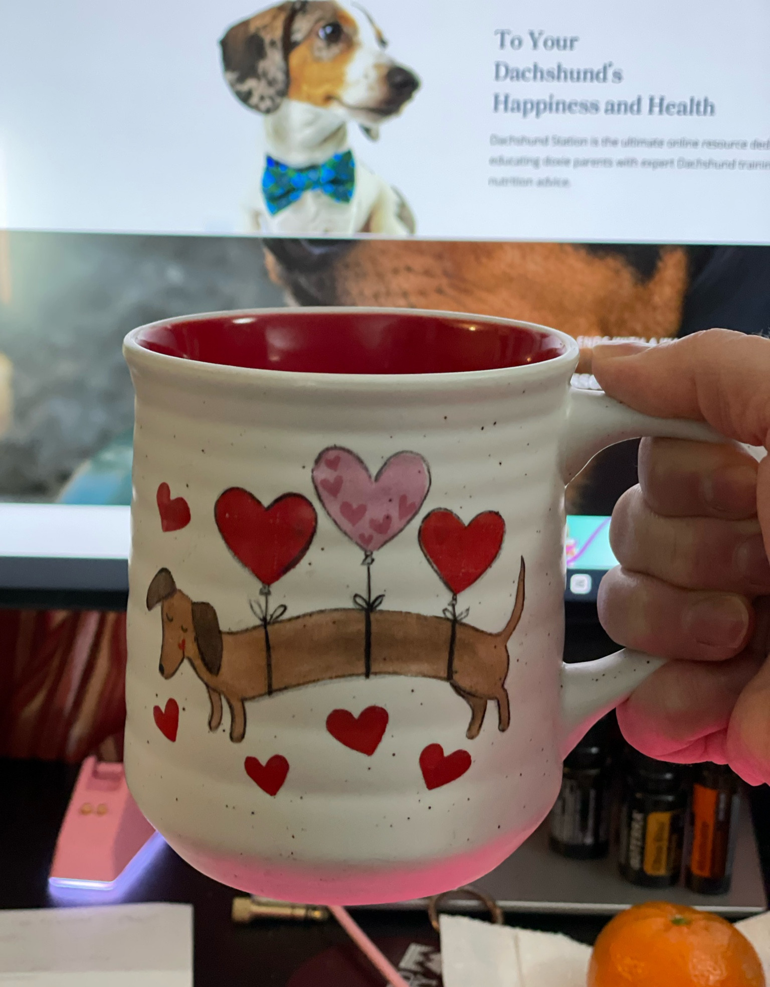 Heart doxie mug from tjmaxx or HomeGoods.
#doxiefinds 

#LTKGiftGuide #LTKPets #LTKSeasonal