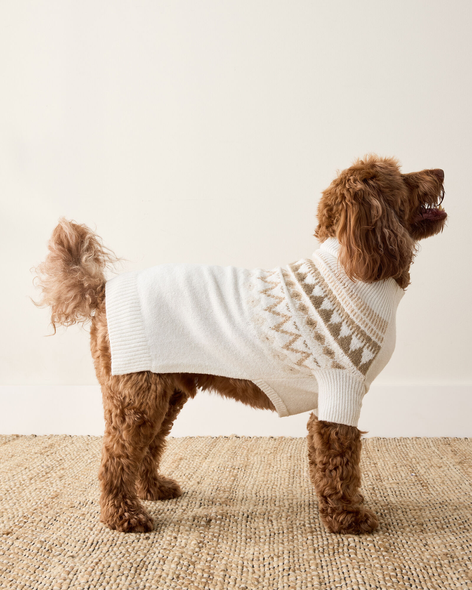 Organic Cotton Blend Fairisle Dog Sweater | Haven Well Within