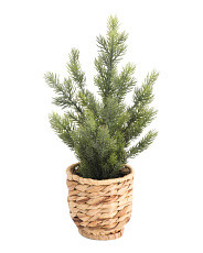 17in Fir Tree In Woven Basket | Home | T.J.Maxx | TJ Maxx