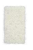 Nourison Ultra Shag White Plush Area Rug 2'2" x 3'9", 2'2"X3'9", IVORY | Amazon (US)