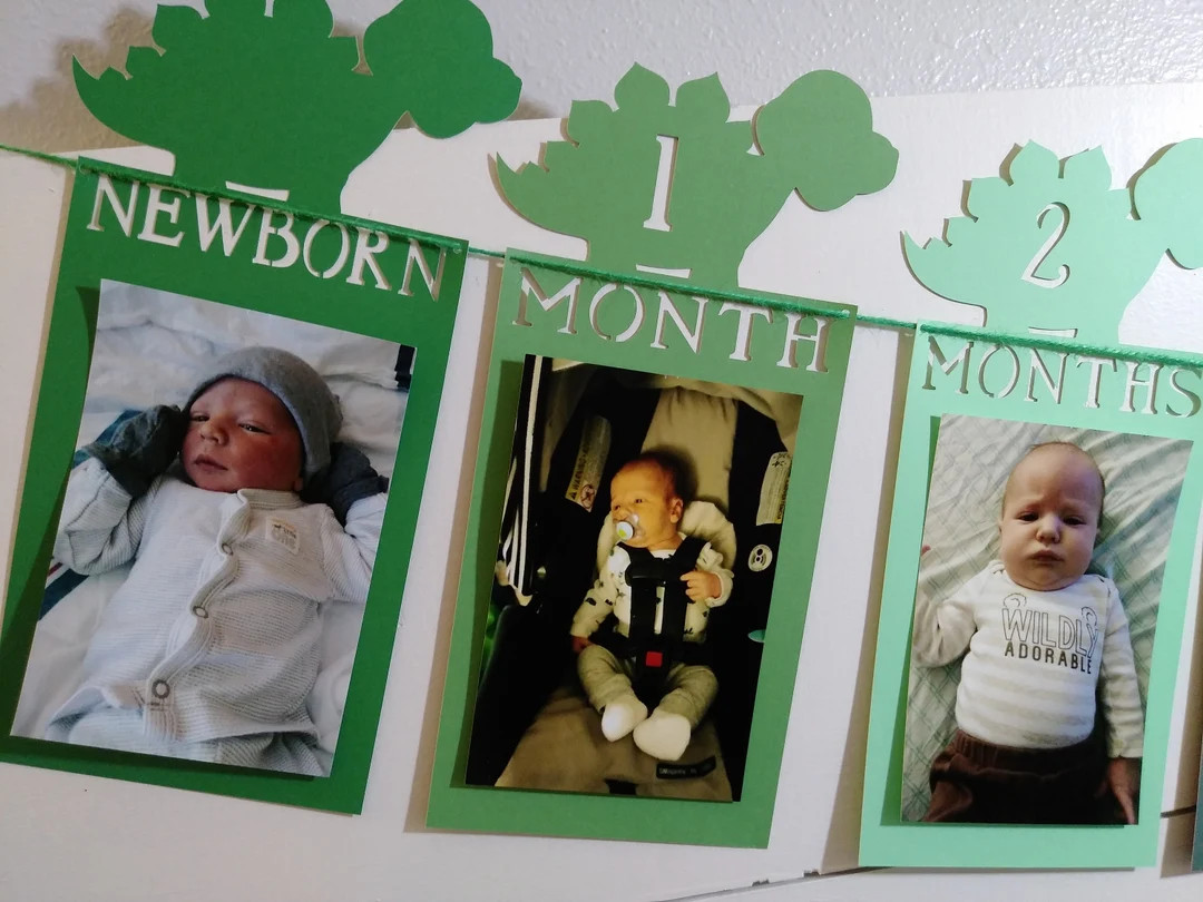 Dinosaur First Birthday Photo Banner / Monthly Photo Banner / Dinosaur Banner / Dinosaur Theme / ... | Etsy (US)