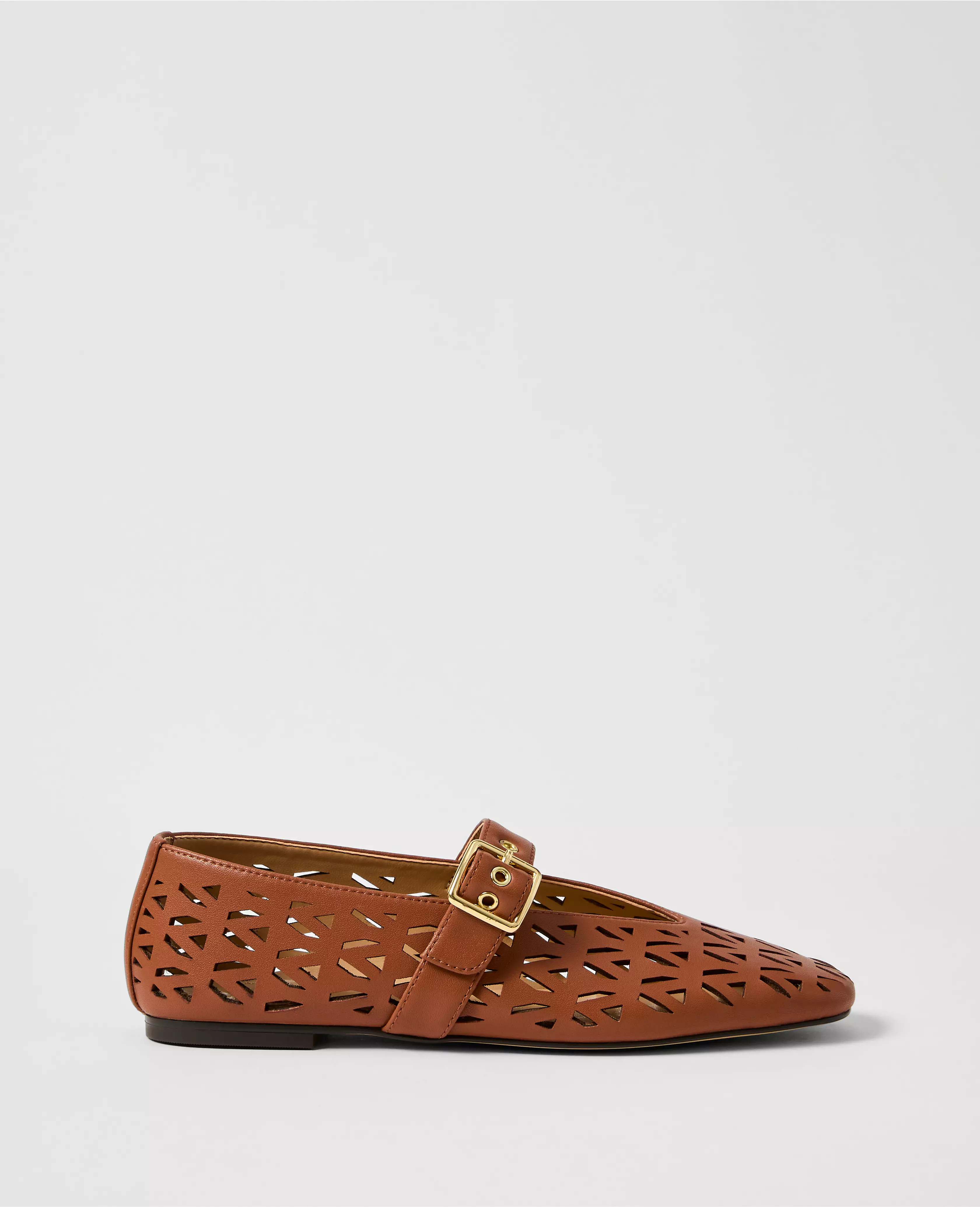 Weekend Collection Leather Mary Jane Ballet Flat | Ann Taylor