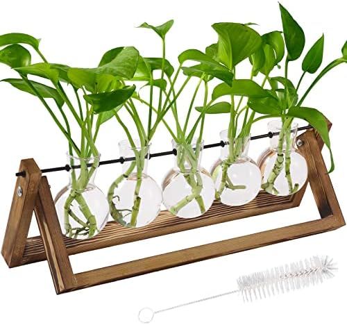 Plant Terrarium with Wooden Stand, Air Planter Bulb Vase Desktop Propagation Stations with Metal Swi | Amazon (US)