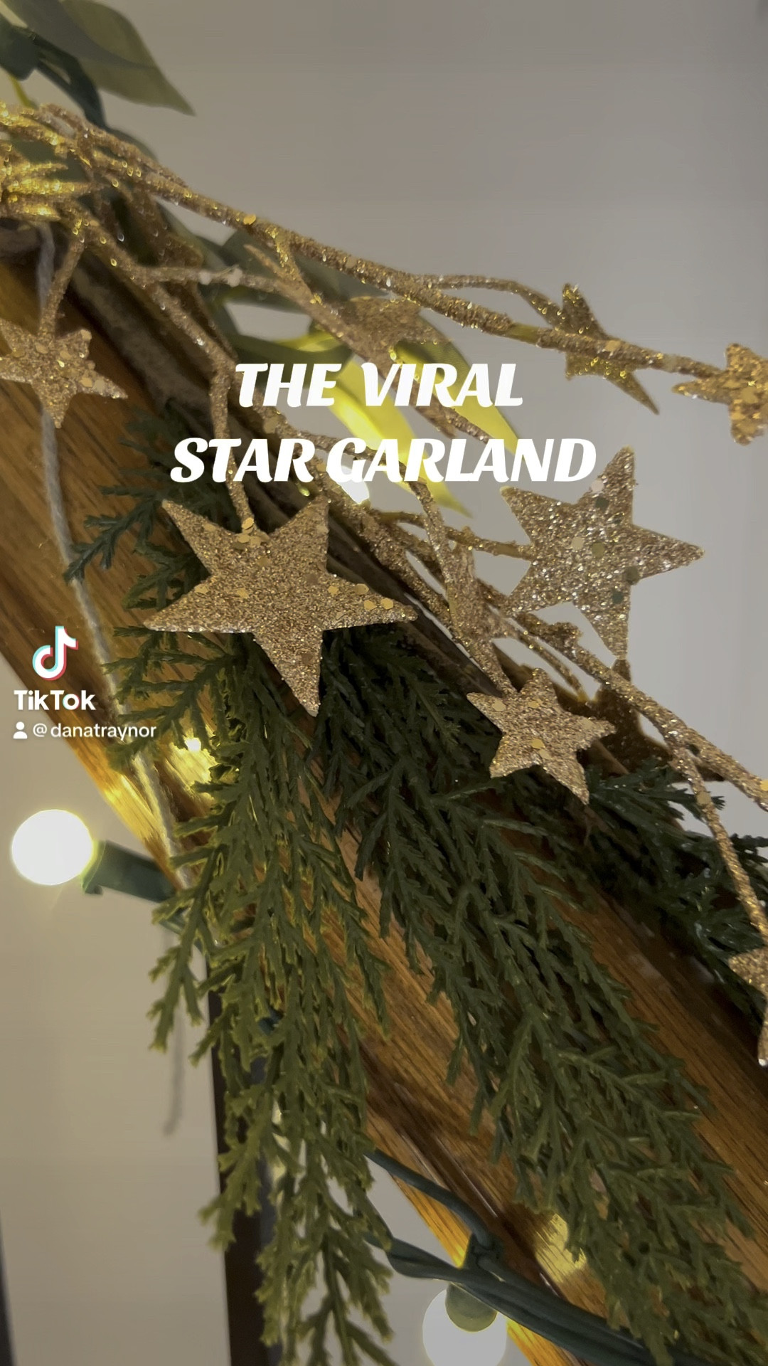 Love love love this star garland added to my green garland. 

#LTKHoliday #LTKVideo #LTKSeasonal