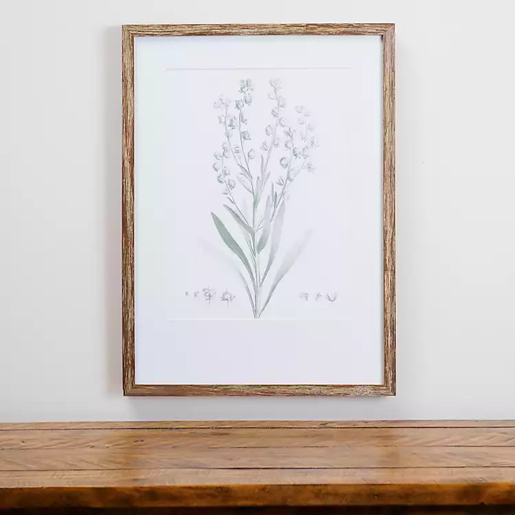 Study in Sage II Framed Art Print | Kirkland's Home