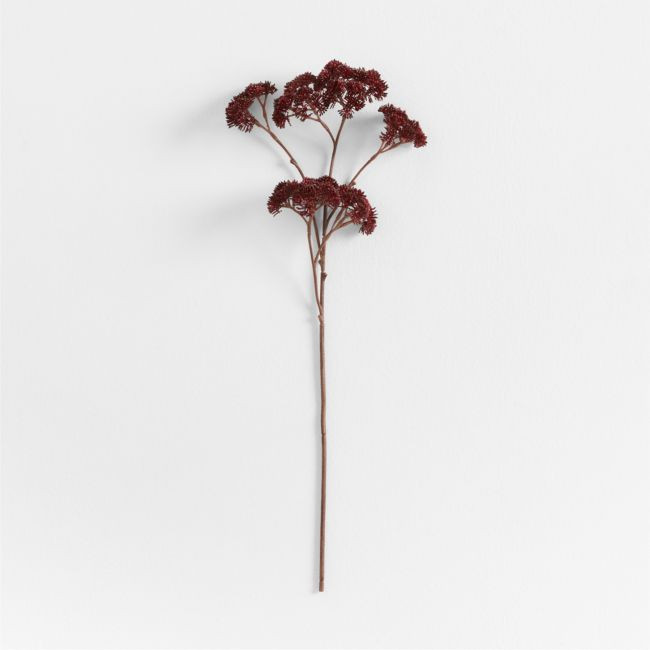 Faux Sedum Stem 23"" by Abigail Ahern | Crate & Barrel