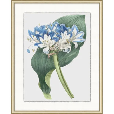 Floral Study 11 - Picture Frame Painting | Wayfair North America