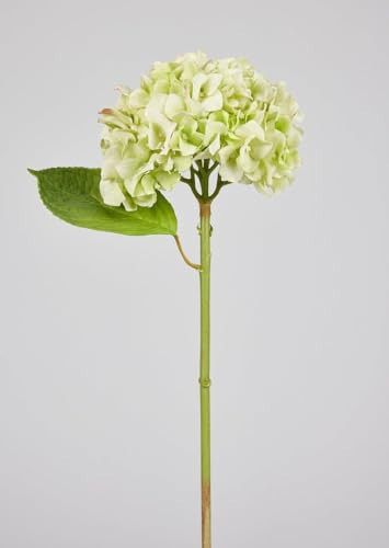 Artificial Flowers French Country Green Real Touch Hydrangea Stem - 18" | Amazon (US)